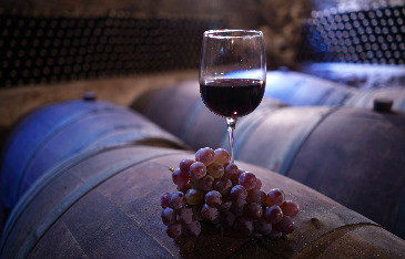 Création Visite virtuelle chateau et domaine